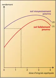 Engrais : action de doses croissantes - crédits : Encyclopædia Universalis France