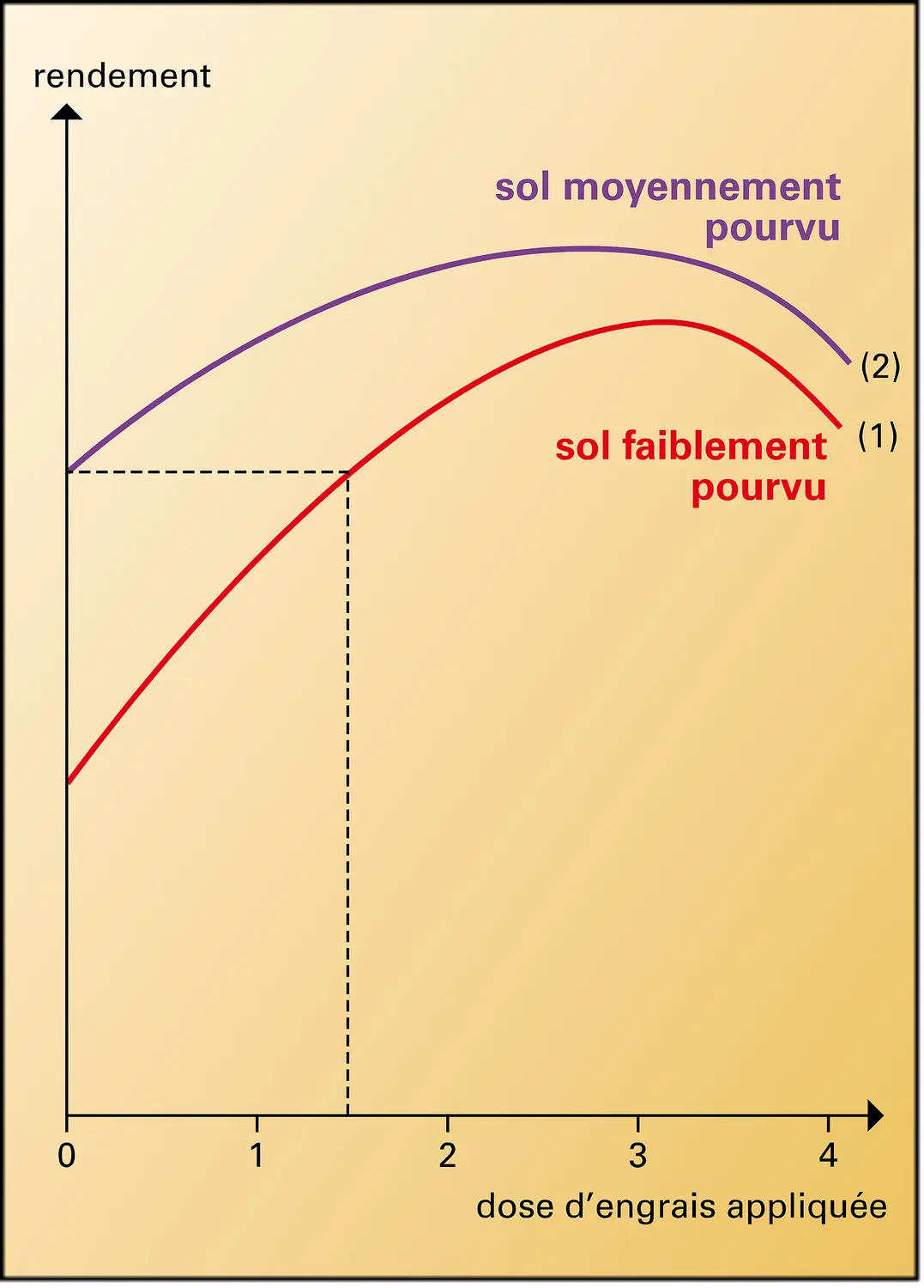 Engrais : action de doses croissantes