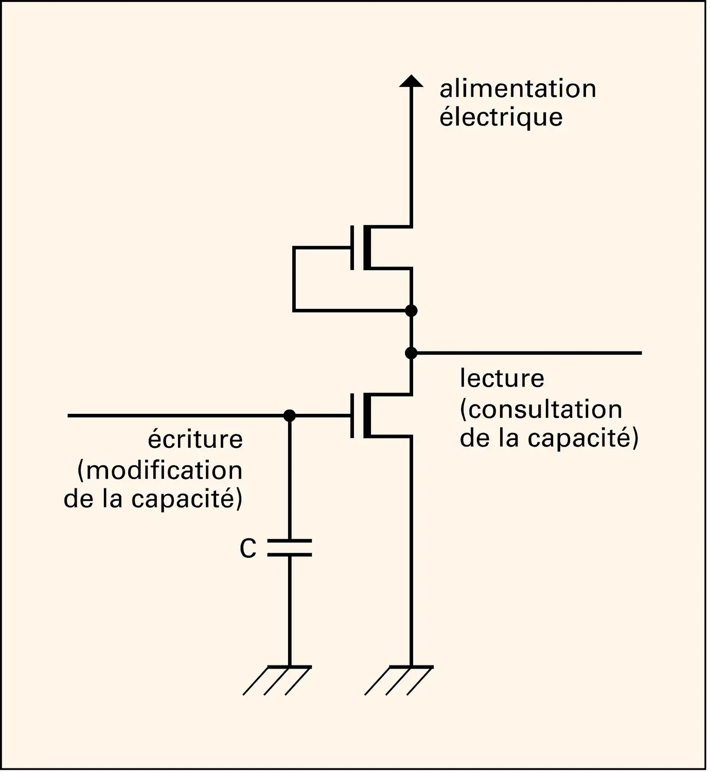 Mémoires numériques : point mémoire dynamique