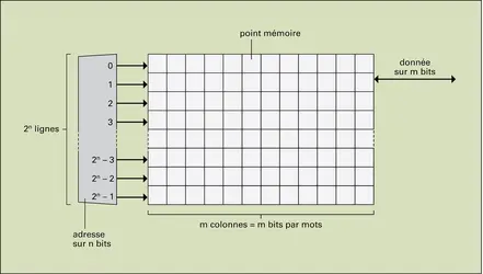 Mémoires numériques : accès matriciel - crédits : Encyclopædia Universalis France