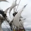 Frégate <em>Hermione </em>en mer - crédits : F. Latreille/ Association Hermione-La Fayette