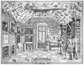 Cabinet de curiosités de Ferrante Imperato, Naples - crédits : Collection BIU Santé Medecine, cote : RES 6004
