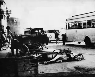 Bombes égyptiennes sur Tel-Aviv - crédits : Hulton-Deutsch/ Corbis Historical/ Getty Images