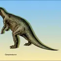 Camptosaurus - crédits : Encyclopædia Universalis France