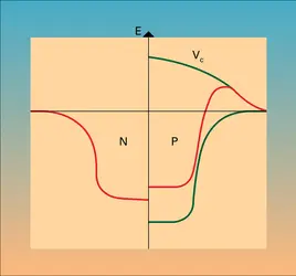 Potentiel moyen pour les neutrons et les protons - crédits : Encyclopædia Universalis France