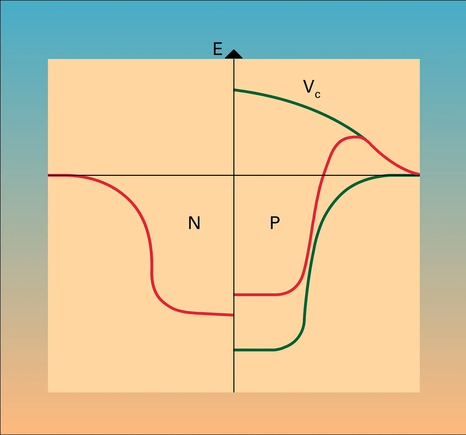 Potentiel moyen pour les neutrons et les protons