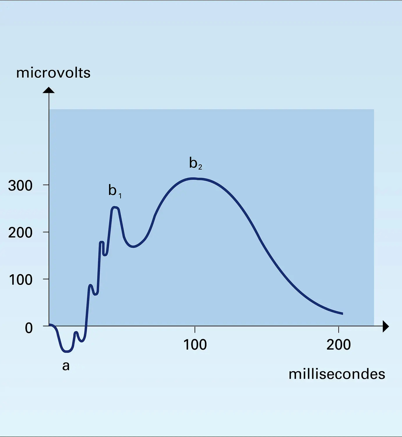 Électrorétinogramme