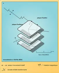 Évolution de la partie sud du Pacifique - crédits : Encyclopædia Universalis France