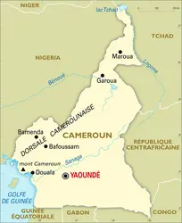 Carte du Cameroun avec fond drapeau camerounais - Carte sous forme