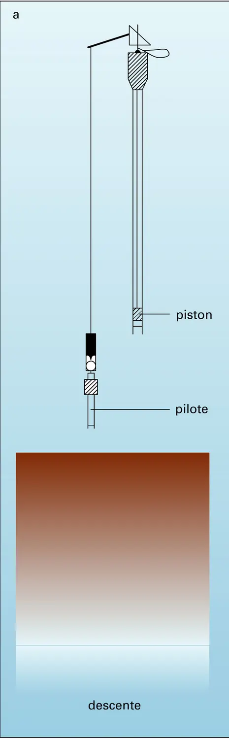 Carottage par gravité avec piston - vue 1