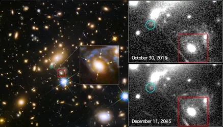 Réapparition d’une supernova - crédits : NASA ; ESA