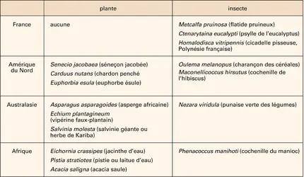 Lutte biologique : les succès - crédits : Encyclopædia Universalis France