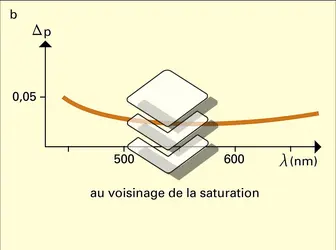 Facteur de pureté - crédits : Encyclopædia Universalis France