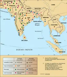 Maladies infectieuses et parasitaires - crédits : Encyclopædia Universalis France