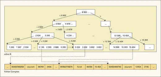 S.G.B.D. relationnel : fichier Comptes et arbre B - crédits : Encyclopædia Universalis France