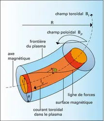 Principe de la configuration magnétique d'un tokamak - crédits : Encyclopædia Universalis France