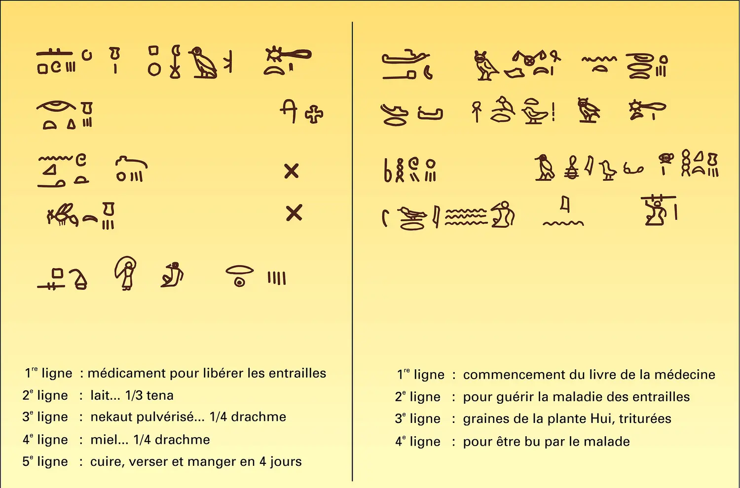 Papyrus Ebers