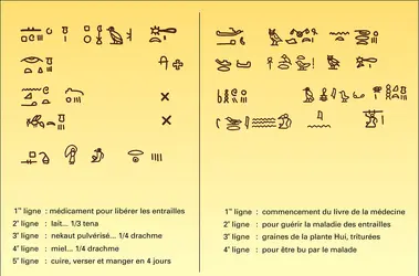 Papyrus Ebers - crédits : Encyclopædia Universalis France