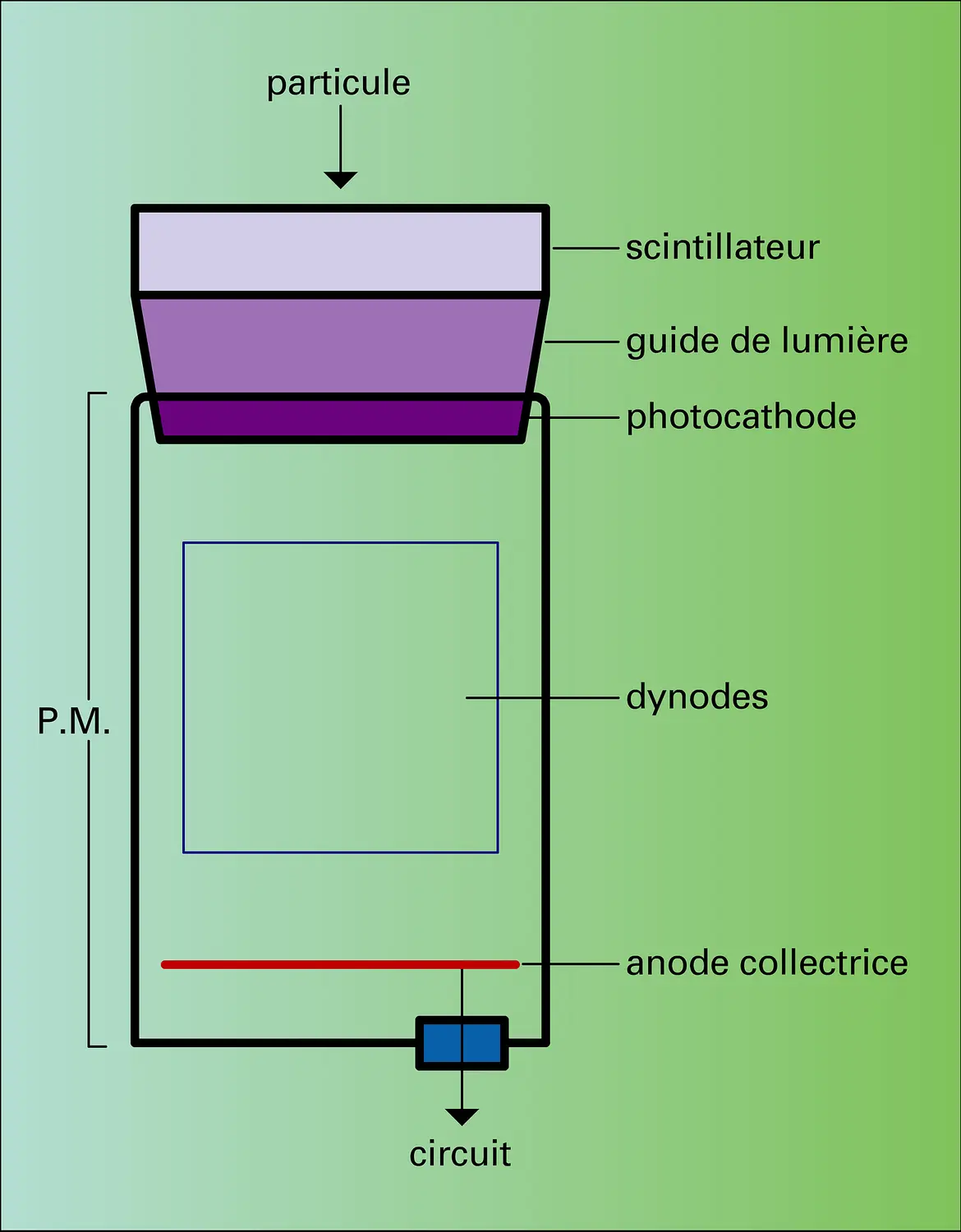 Photomultiplicateur