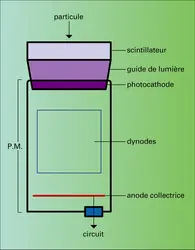 Photomultiplicateur - crédits : Encyclopædia Universalis France