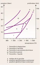 Pyrolite III : composition minéralogique - crédits : Encyclopædia Universalis France
