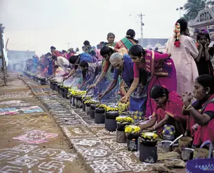 Fête de Pongal, Inde - crédits :  V. Muthuraman/ SuperStock