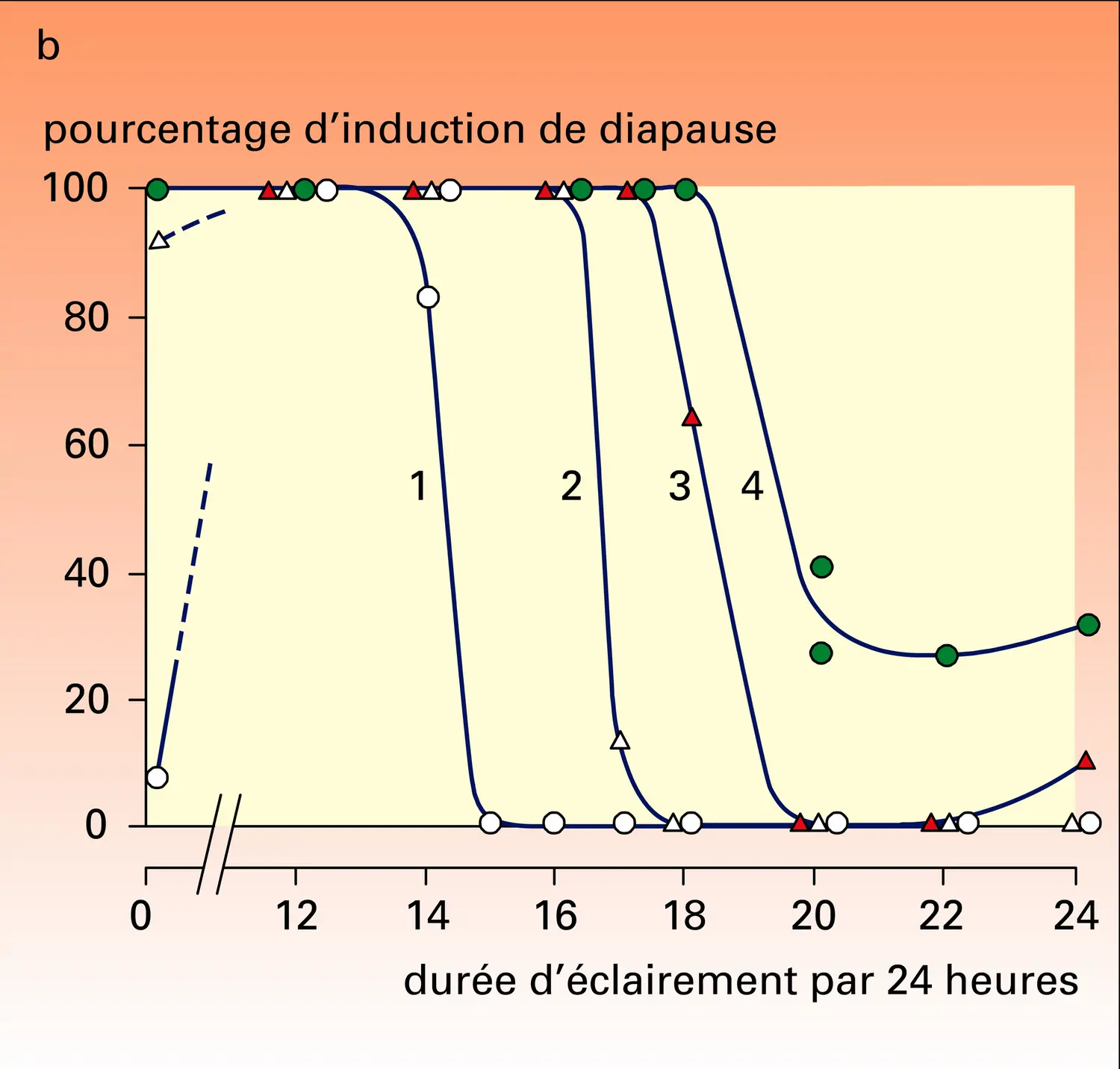 Induction de la diapause chez une noctuelle - vue 2