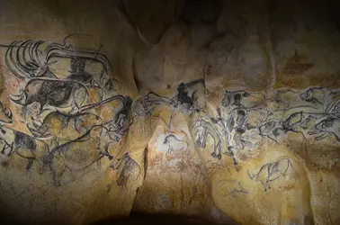 La Caverne du Pont d’Arc &nbsp; &nbsp; &nbsp; &nbsp; - crédits : J. Clottes/ Ministère de la Culture