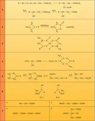 Réactions 1 à 7 - crédits : Encyclopædia Universalis France