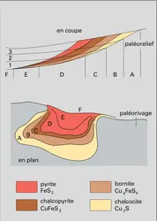 Zonalité sédimentaire - crédits : Encyclopædia Universalis France