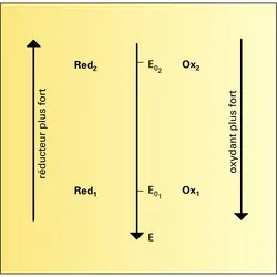 Échelle redox dans l'eau - crédits : Encyclopædia Universalis France