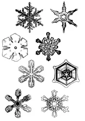 Neige : cristaux en étoile - crédits : Encyclopædia Universalis France