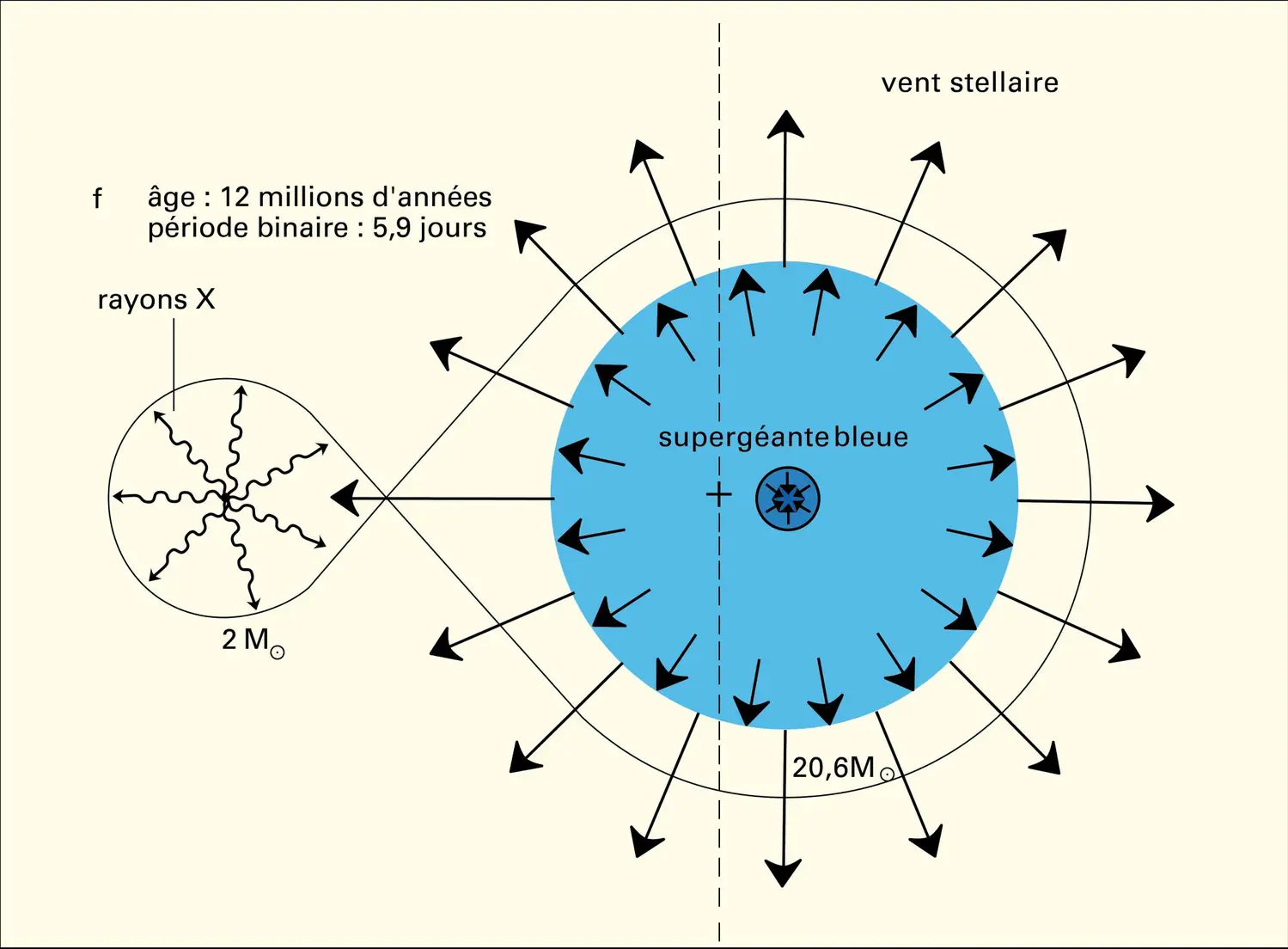 Source de rayons X issue d'un système binaire serré - vue 6