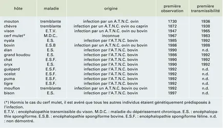 Encéphalopathies spongiformes subaiguës - crédits : Encyclopædia Universalis France