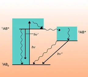 Diagramme de Jablonski-Perrin - crédits : Encyclopædia Universalis France