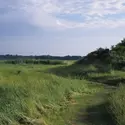 Les garennes de Lornel - crédits : A. Ceccaroli/ Conservatoire du littoral 