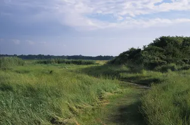 Les garennes de Lornel - crédits : A. Ceccaroli/ Conservatoire du littoral 