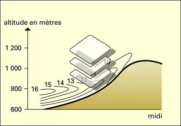 Températures le long d'un versant - crédits : Encyclopædia Universalis France