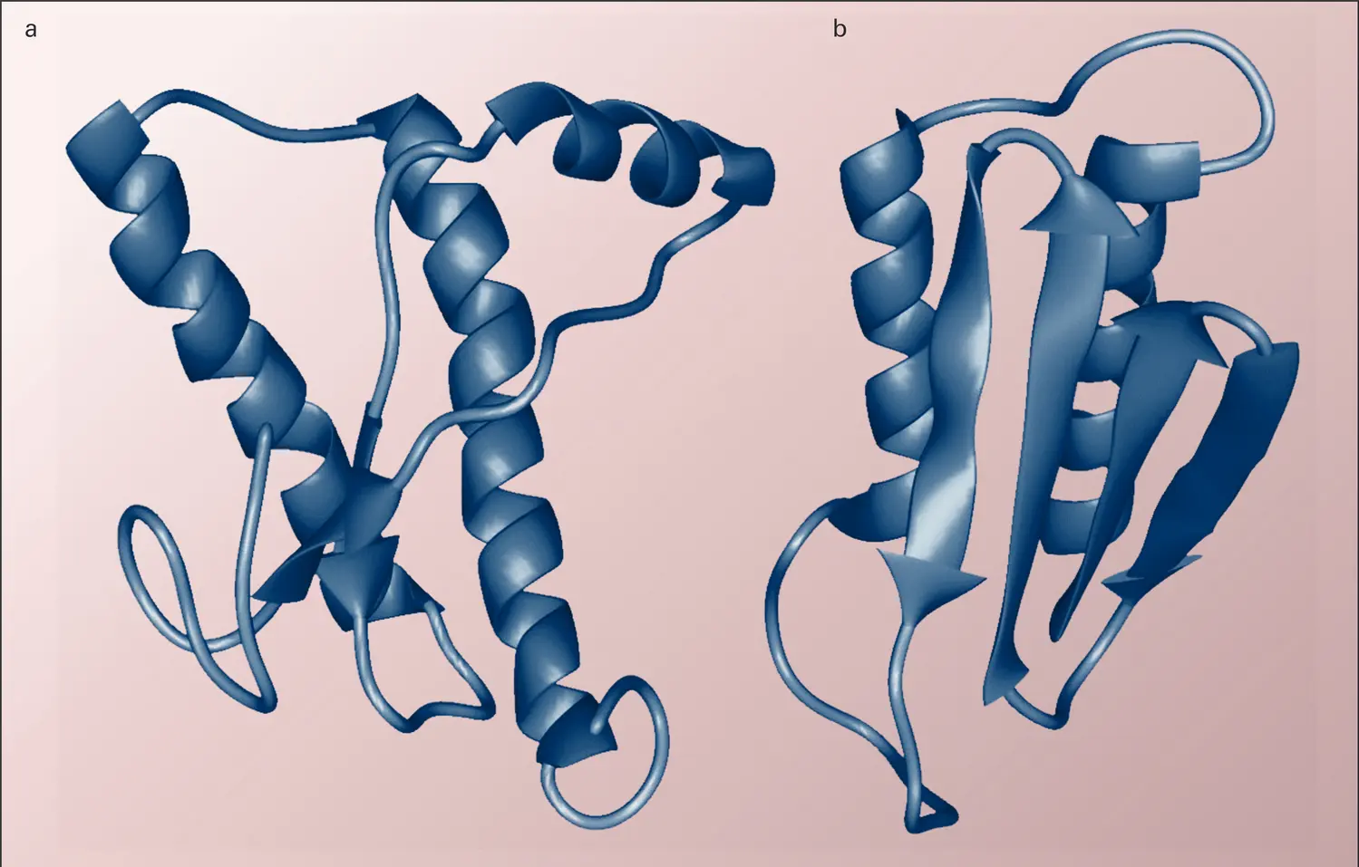 Protéine du prion