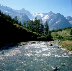 Le Rhône dans le Valais, Suisse - crédits : Paul Almasy/ Corbis/ VCG/ Getty Images