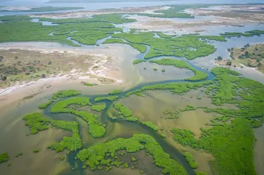 Delta du Sine-Saloum, Sénégal - crédits : Curioso Photography/ Shutterstock