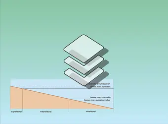 Domaines océaniques et subdivisions - crédits : Encyclopædia Universalis France