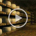 Agroalimentaire : le fromage - crédits : Planeta Actimedia S.A.© Encyclopædia Universalis France pour la version française.