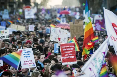 Manifestation en faveur du « mariage pour tous », janvier 2013 - crédits : Etienne Laurent/ EPA