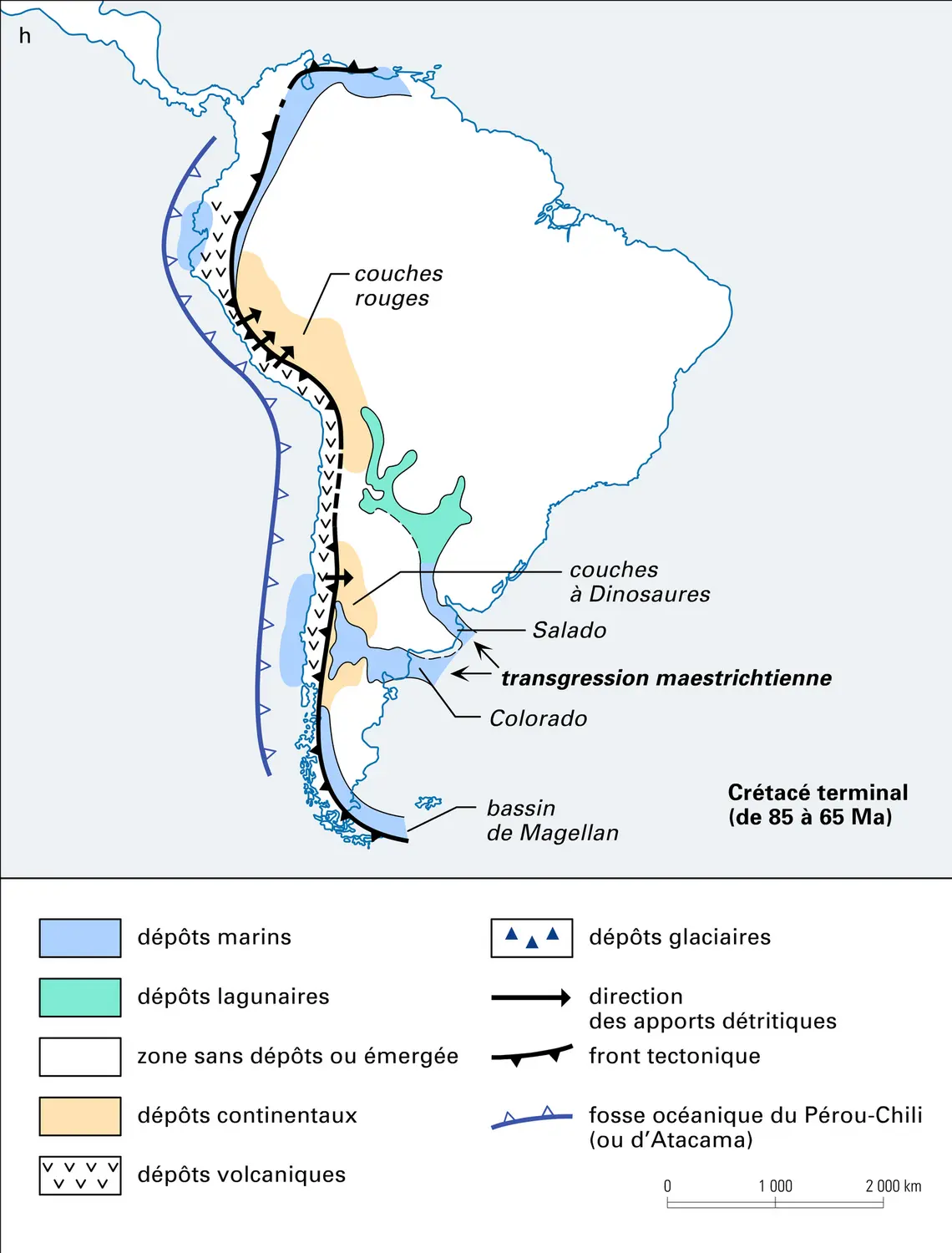 Cartes paléogéographiques simplifiées de l'Amérique du Sud - vue 8