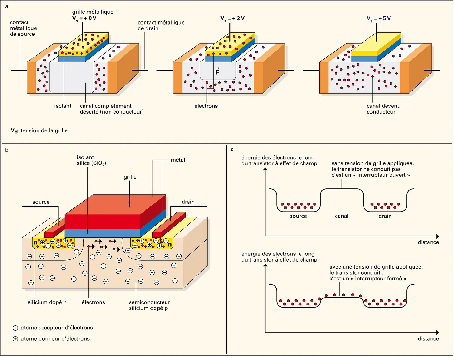 Microélectronique : transistor à effet de champ.