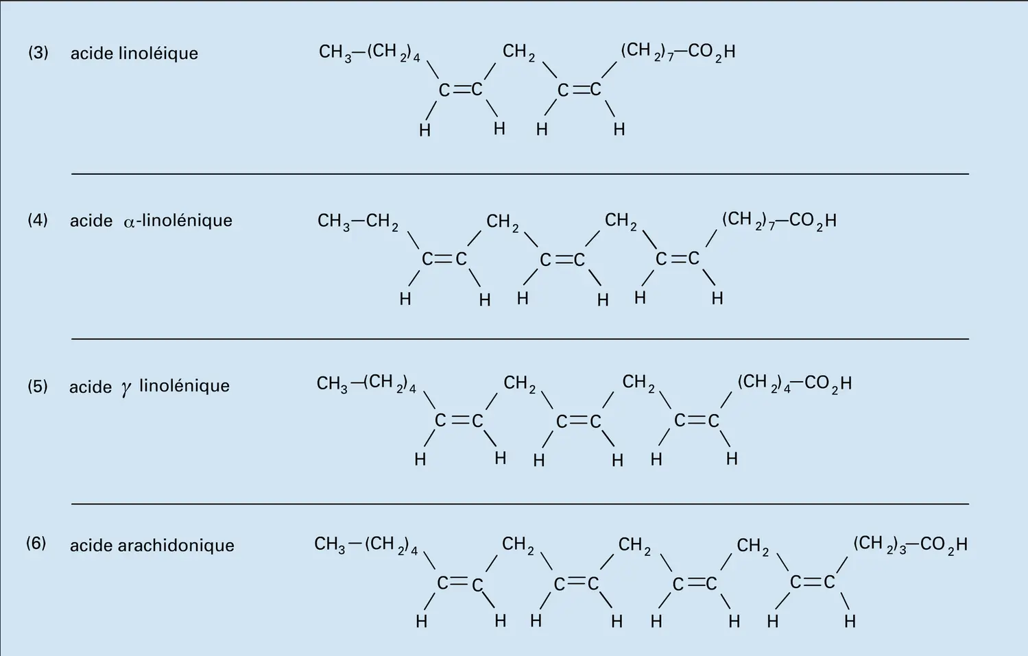 Acides gras : formules - vue 2