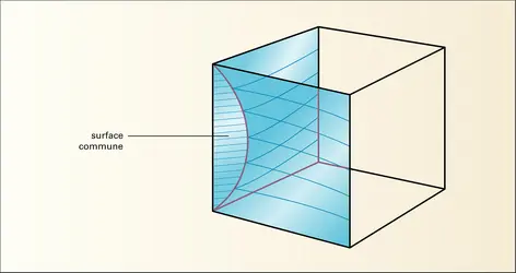 Cube à faces pincées - crédits : Encyclopædia Universalis France