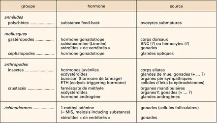 glandes du système endocrinien