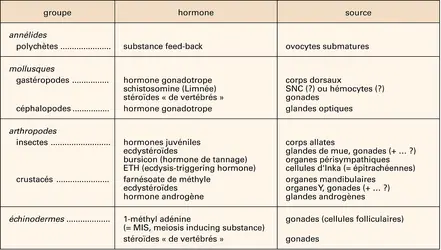 Hormones des invertébrés - crédits : Encyclopædia Universalis France